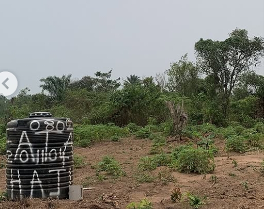 Imota Farmland 1